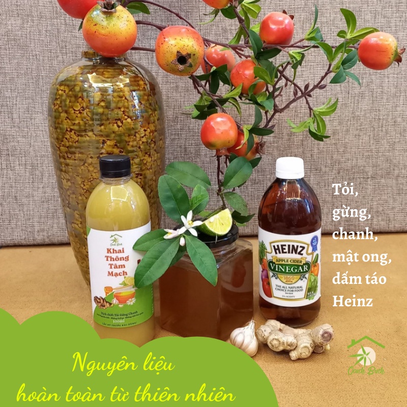 Detox tỏi gừng chanh giấm táo mật ong đào thải độc tố chai 500mL_BEP NGON NGON