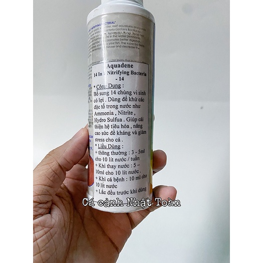 14 CHỦNG VI SINH CHO HỒ CÁ CẢNH NITRIFYING BACTERIA AQUADENE 200ML