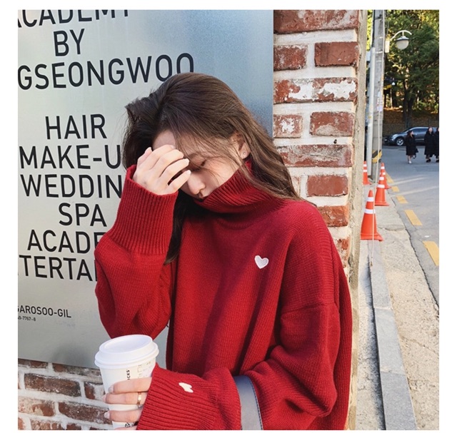 Siêu phẩm Áo len cổ cao thời trang Hàn Quốc A01 | BigBuy360 - bigbuy360.vn