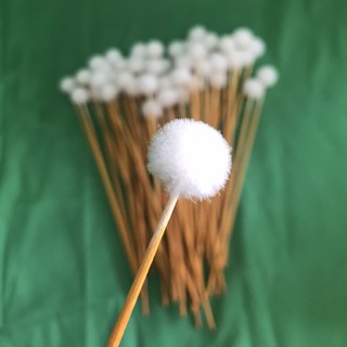 Bông Se Tai Lông vịt