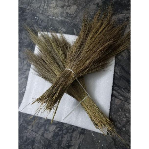Đót quét vôi tường 200gr/1 nắm HN