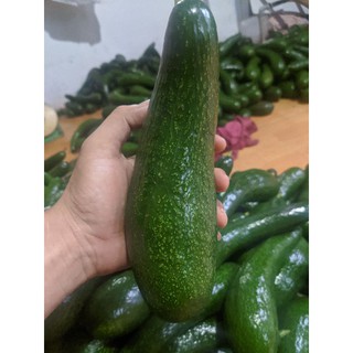 Bơ 034 Lâm Đồng loại 2-3