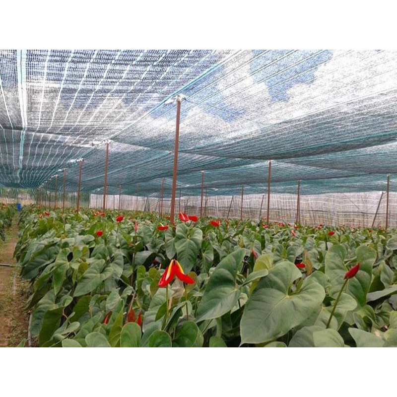 Lưới Che Nắng Thái Lan Khổ Rộng 2M Che Nắng 70% số lượng đặt hàng tính theo mét vuông