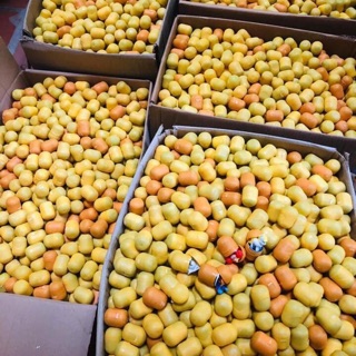 Trứng đồ chơi