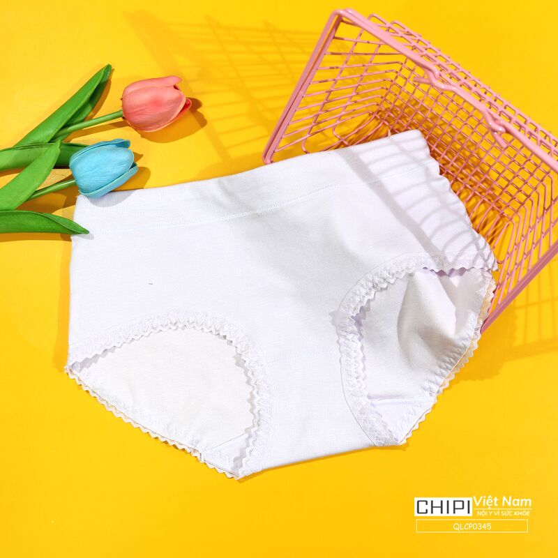 Quần lót nữ cotton viền ren cạp chun che bụng chipi - QLCP0345