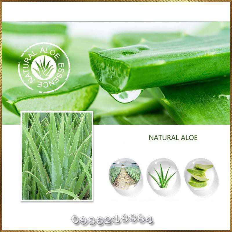 Mặt nạ nha đam lô hội Images Aloe Vera dưỡng ẩm kiềm dầu làm sạch sâu trắng sáng da IAV4