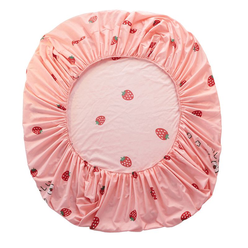 Bộ 3 Sản Phẩm Chăn Ga Và Vỏ Gối Họa Tiết Hoa Hiện Đại