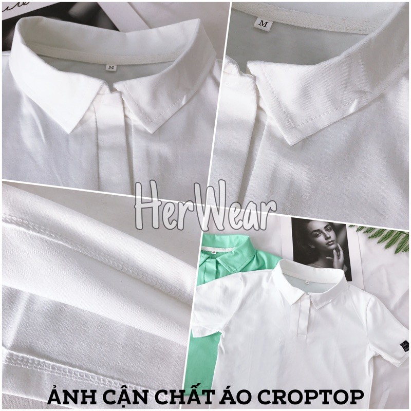 Áo croptop nữ Polo cổ bẻ, dáng ôm nhẹ chất cotton co dãn thoáng mát. | BigBuy360 - bigbuy360.vn