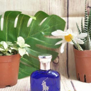 Nước hoa nam Polo Blue 15ml
