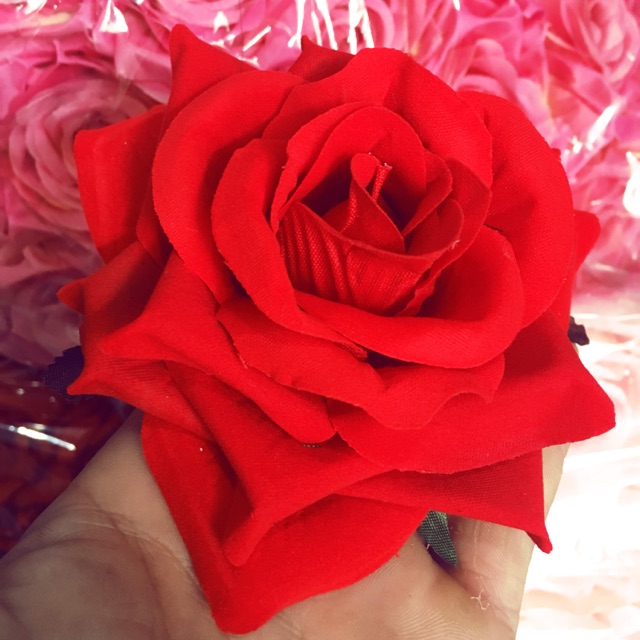 100 bông hồng nhung
