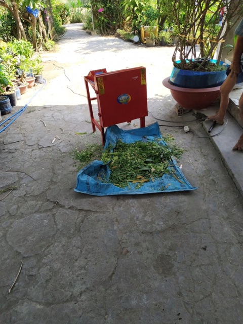 Máy băm cỏ vuông takyo TK15 dùng băm cỏ voi, băm bèo, băm rau các loại