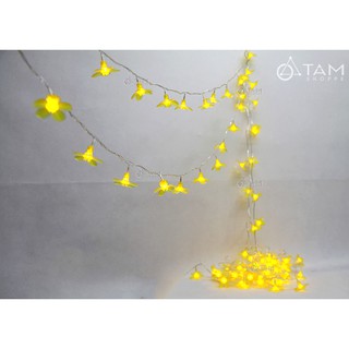 Dây đèn Led hoa mai vàng cánh dày 10m L-DDTET-01 TAN