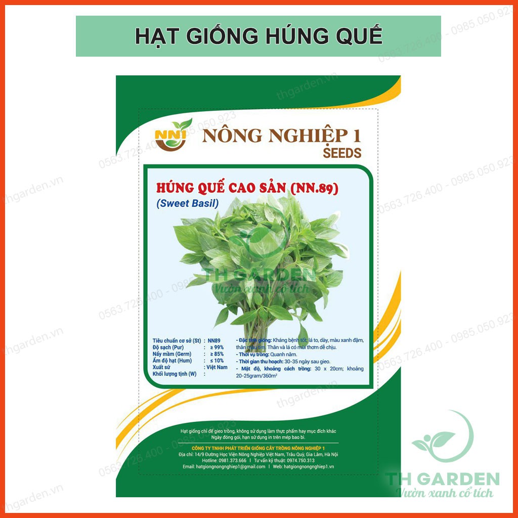 HẠT GIỐNG HÚNG QUẾ CAO SẢN 5GRAM ( HÚNG CHÓ) - HỌC VIỆN NÔNG NGHIỆP VIỆT NAM