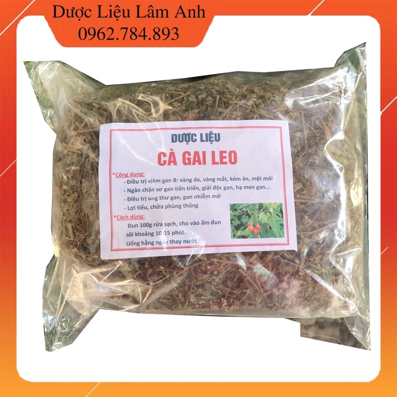 1Kg Cà Gai Leo phơi khô giúp mát gan, thanh nhiệt, giải độc