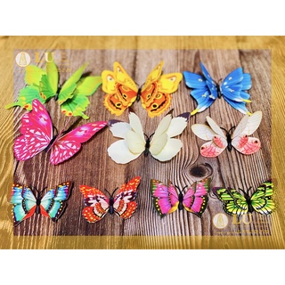 Bướm 3d 2 tầng cánh trang trí , decor làm đồ handmade, giỏ hoa quà | L U