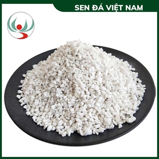 100G Đá Perlite (Đá Trân Châu) Cao Cấp Nhập Khẩu Làm Giá Thể hoặc Rải Mặt Trang Trí, Trồng Cây, Sen Đá, Xương Rồng