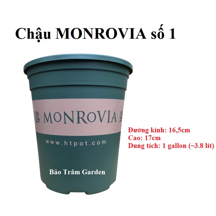 Set 10 chậu nhựa trồng cây cao cấp Monrovia số 1 xuất xứ Trung Quốc