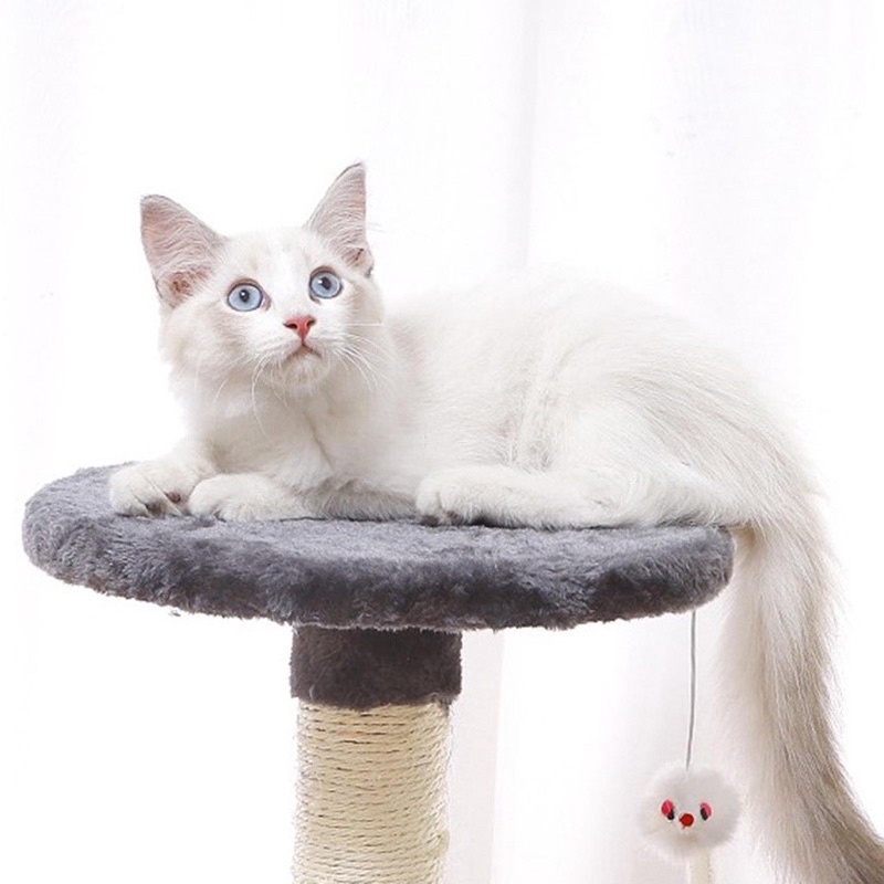 Trụ cào móng mèo ( Cattree) 2 tầng có nệm và đồ chơi