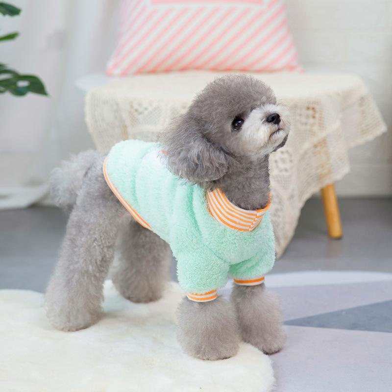 Quần áo chó mèo thú cưng: Áo nỉ lông họa tiết thỏ carot