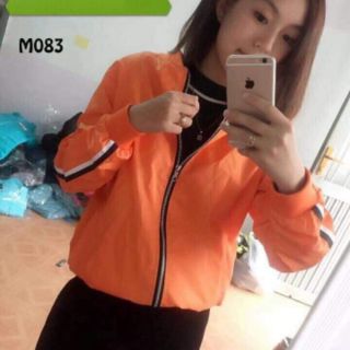 Áo khoác bomber dù sọc (CÓ ẢNH THẬT)