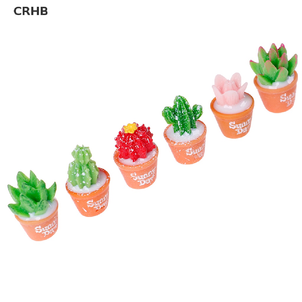 Crhb Set 5 Cây Xương Rồng Bằng Nhựa Resin Nhỏ Tự Trang Trí Chậu Cây Bonsai Mới