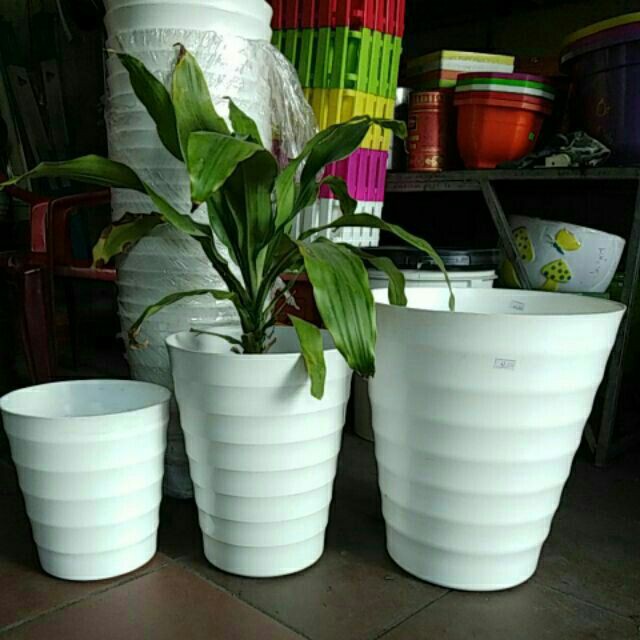 Chậu Vòng Sóng, Chậu nhựa sóng cao - Chậu Vòng Tròn (3size, nhiều màu)