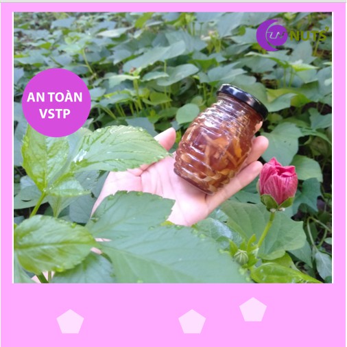 Mật ong100g Lê Nguyệt, Mật ong gừng sẻ đồng bào nhà nào cũng cần, CAY NỒNG, TĂNG SỨC ĐỀ KHÁNG, hũ thủy tinh xinh xắn100g | BigBuy360 - bigbuy360.vn