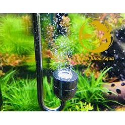 TẨU SỦI CO2 INOX