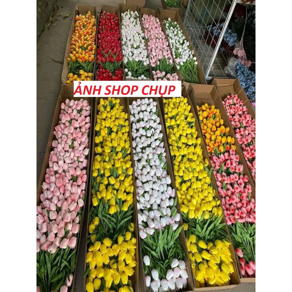 [LOẠI 1 có mùi thơm] Hoa Tulip cao su hàng cao cấp giống hoa thật