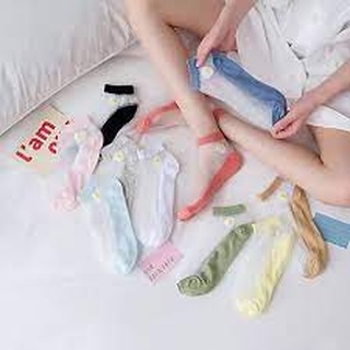 Tất Vớ Lưới Hoa Cúc Ngắn Cổ Thấp ( Khử Mùi , Thấm Mồ Hôi , Thoáng Khí )