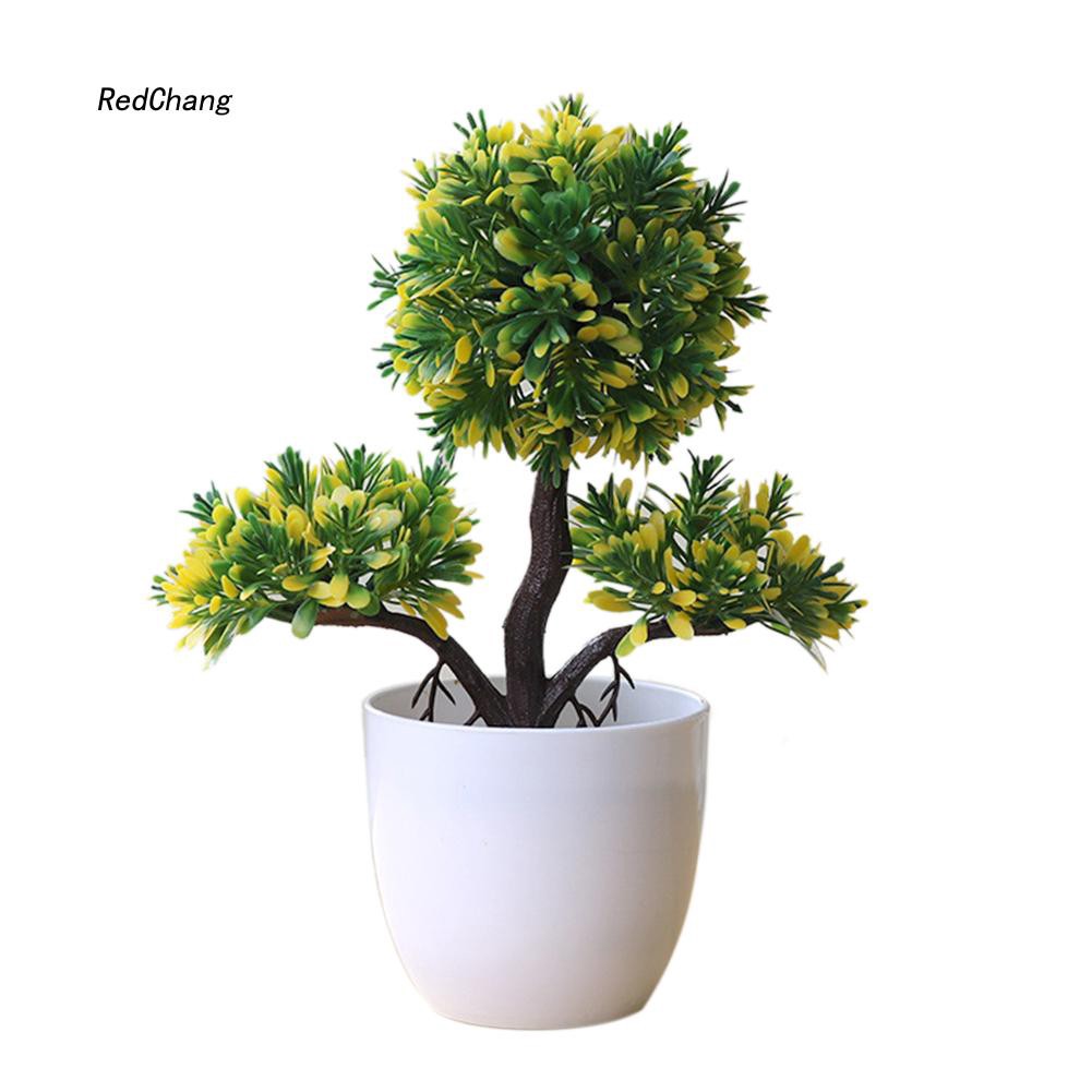 Chậu Cây Bonsai Giả Trang Trí Bàn Làm Việc