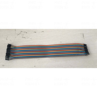 Dây test board Cắm Breadboard đực-cái, cái-cái, đực- đực (10 nhánh) 20cm