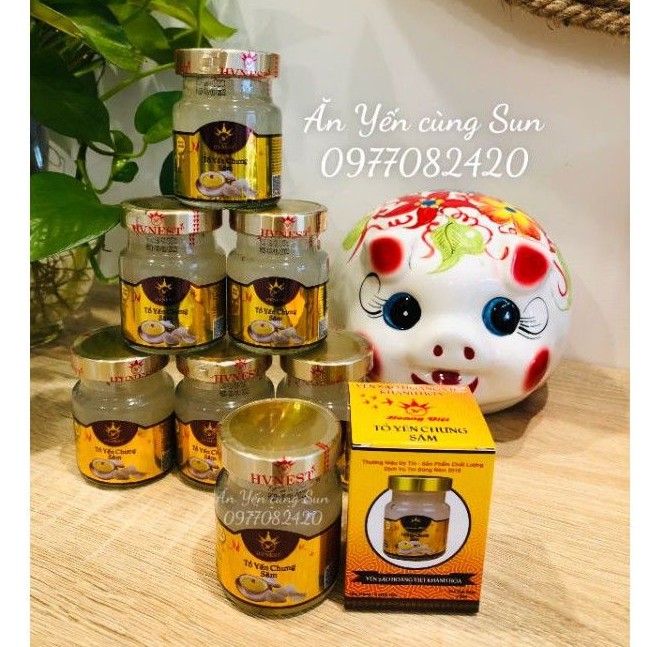 Chứa 30% Tổ Yến tươi | Yến Sào Hoàng Việt, Yến sào Khánh Hoà 7 VỊ | BigBuy360 - bigbuy360.vn
