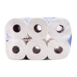 Giấy Vệ Sinh WaterSilk có lõi 12 cuộn