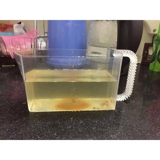 Dầu dừa 1 lít