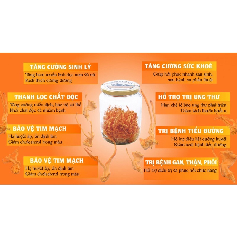 đông trùng hạ thảo | BigBuy360 - bigbuy360.vn