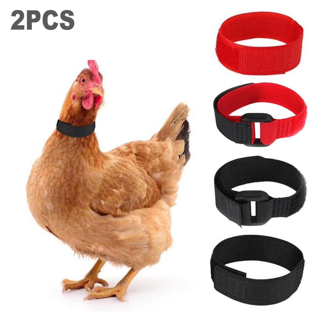 1 Vòng Đeo Cổ Chống Ồn Cho Gà Con Tiện Dụng