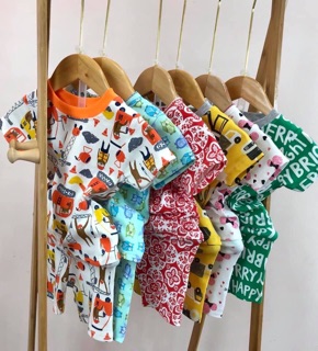 Combo 5 bộ bozip