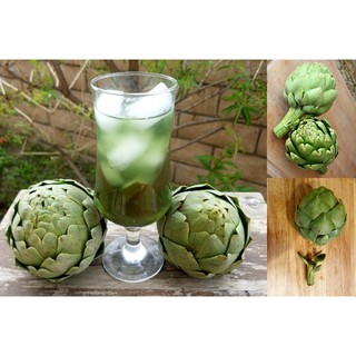 Hạt giống Atiso xanh 10 hạt