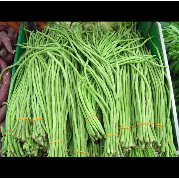 20Gr Hạt Giống Đậu Đũa Xanh