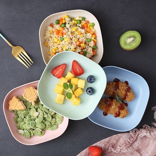 Set 8 đĩa nhựa lúa mạch màu pastel