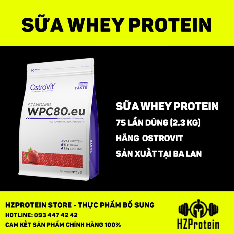 OSTROVIT WHEY PROTEIN STANDARD WPC80 - SỮA PROTEIN WHEY CONCENTRATE PROTEIN NHIỀU MÙI VỊ THƠM NGON (5 LBS)