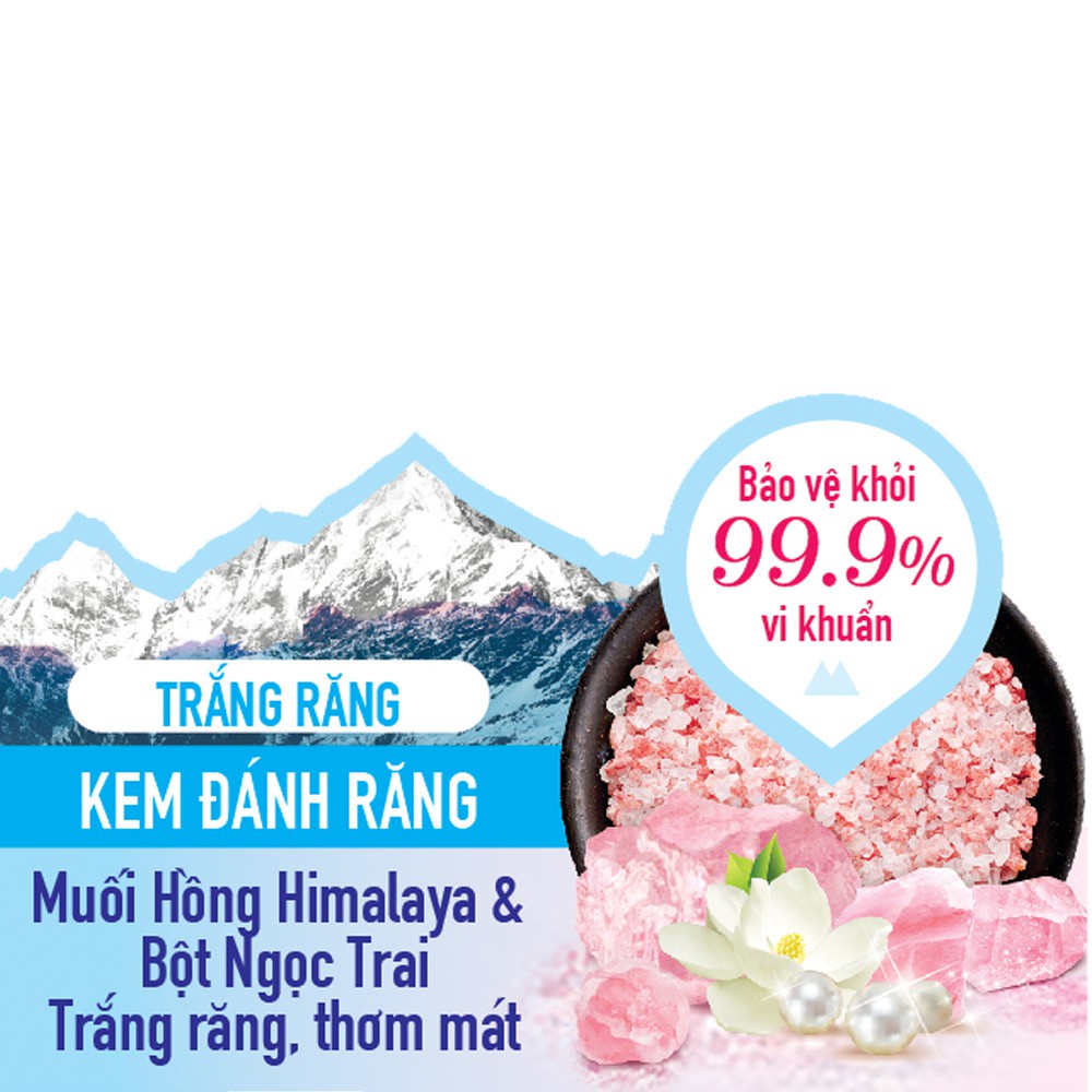 Bộ 3 Kem đánh răng Bamboo Salt Muối Hồng Himalaya Làm Trắng Răng 100g /tuýp