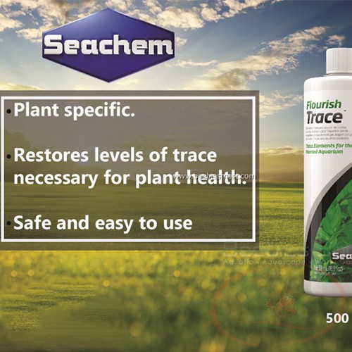 Phân Nước Seachem Flourish Trace Bổ Sung Vi Lượng
