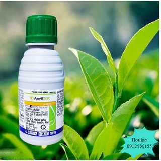 Thuốc Đặc Trị Nấm Hồng, Rỉ Sắt, Nấm Bệnh Cho Cây Trồng Anvil 5SC - Dung tích 100ml - VTNN Bắc Từ Liêm