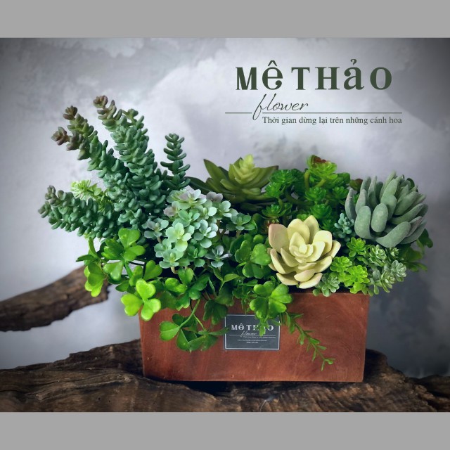 Hộp Sen Đá Giả Cao Cấp Dùng Làm Quà Tặng, Trang Trí Nội Thất, Decor Shop, Quán Cafe