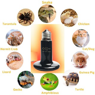🐢 🐁 🐶 🐱Đèn sưởi đêm cho rùa cạn, bò sát, vẹt, hamter - Đèn sưởi ban đêm cho thú cưng - Đèn sưởi UVB chuyên dụng