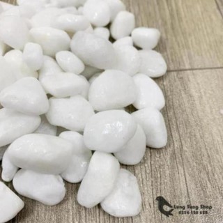 [ Nhiều size ] Đá sỏi trắng trang trí ( chọn size )