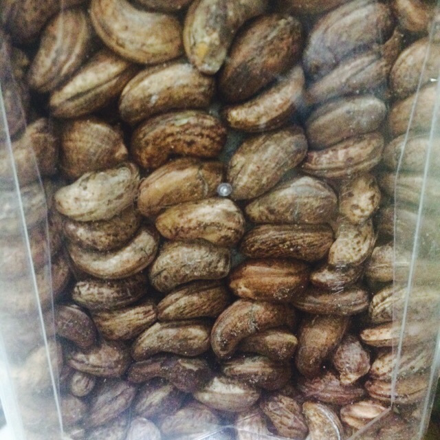 hạt điều 