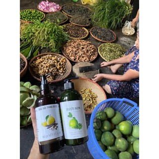 Dầu gội thảo dược bồ kết
